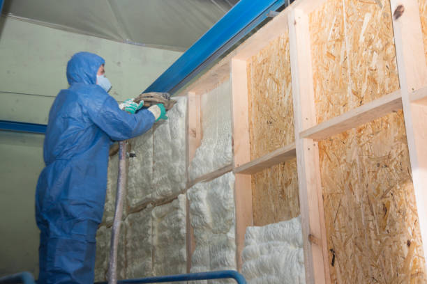 Best Insulation Inspection Services  in , KY